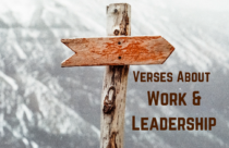 Daily Bible Verse Work And Leadership Proverbs 18 16 NASB