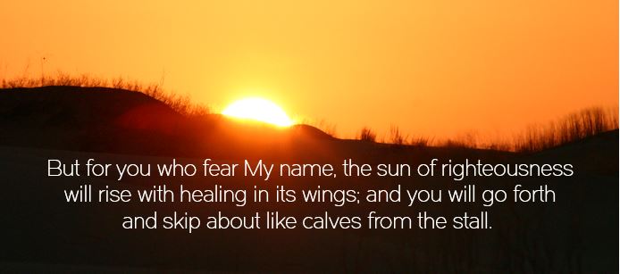 But for you who fear My name, the sun of righteousness will rise with healing in its wings; and you will go forth and skip about like calves from the stall.
