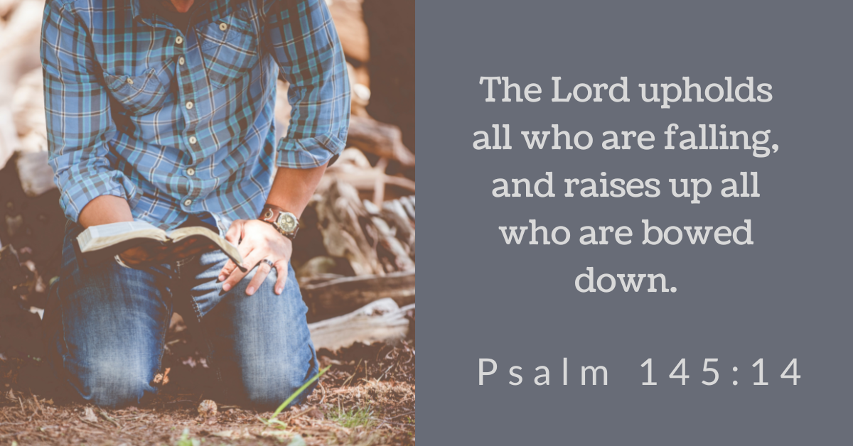 Psalm 145:14 (NRSV)