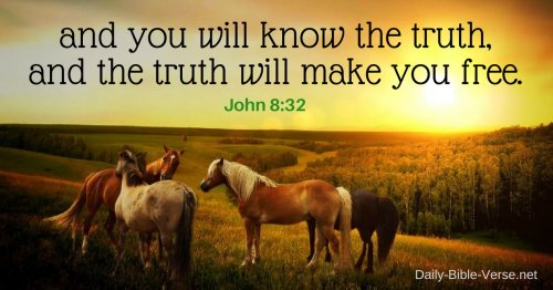 and you will know the truth, and the truth will make you free.