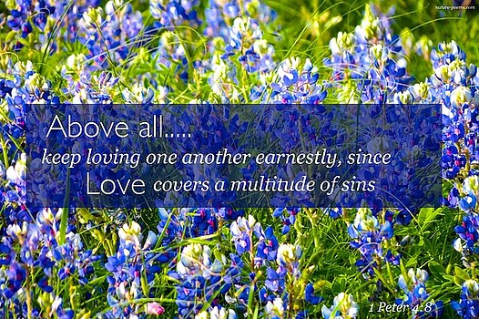 Above all, keep fervent in your love for one another, because love covers a multitude of sins.