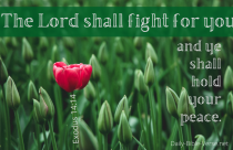 Daily Bible Verse Encouragement Lamentations 3 25 Nkjv