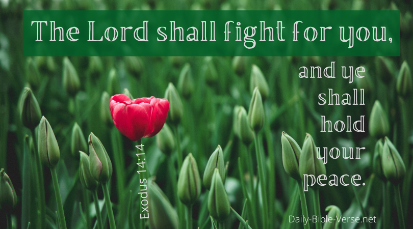 The Lord shall fight for you, and ye shall hold your peace.