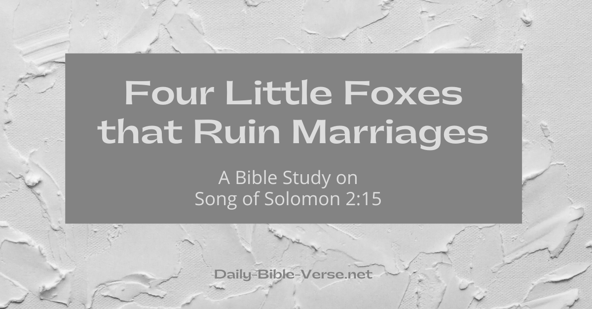 Four Little Foxes that Ruin Marriages