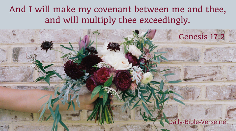 And I will make my covenant between me and thee, and will multiply thee exceedingly.