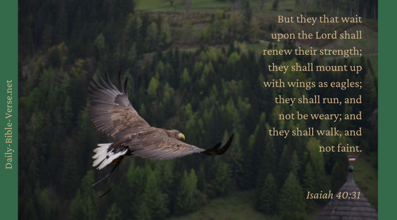 But they that wait upon the Lord shall renew their strength; they shall mount up with wings as eagles; they shall run, and not be weary; and they shall walk, and not faint