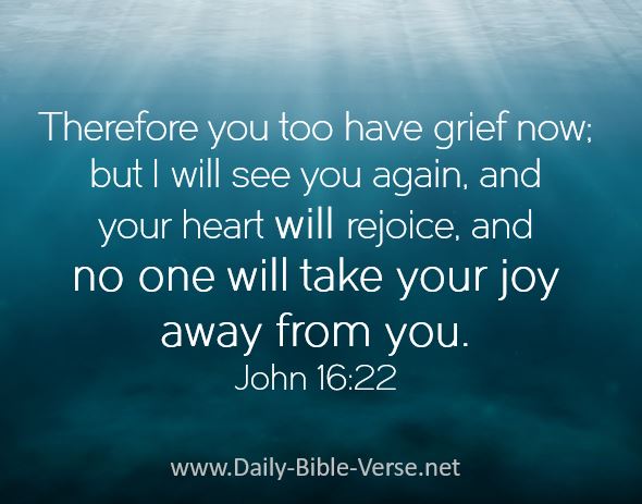 Daily Bible Verse Joy John 16 22