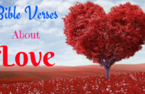 Daily Bible Verse | Love | Each Of Us