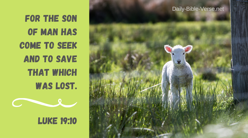 For the Son of Man has come to seek and to save that which was lost.