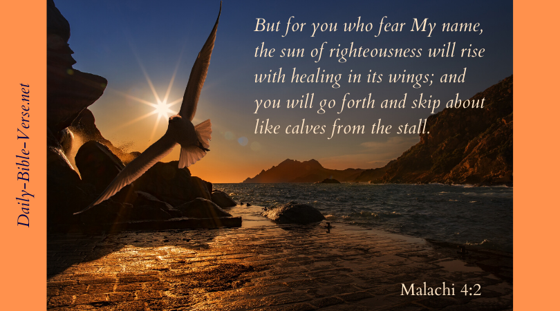 But for you who fear my name, the sun of righteousness will rise with healing in its wings; and you will go forth and skip about like calves from the stall.