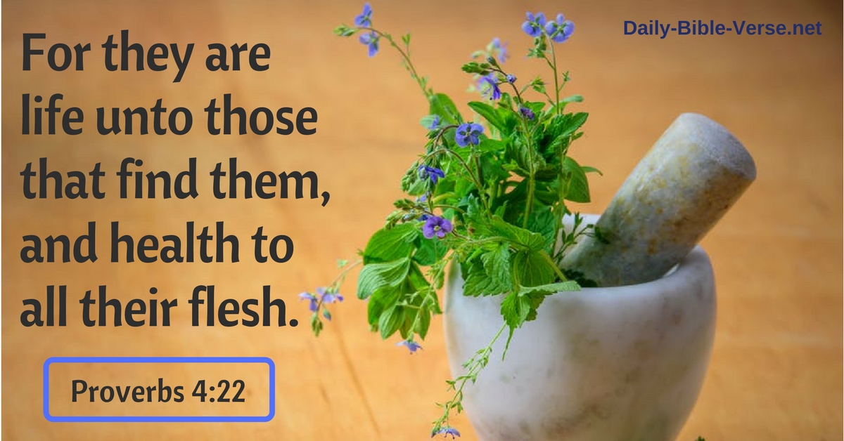 For they are life unto those that find them, and health to all their flesh