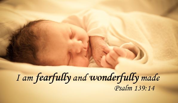 I am fearfully and wonderfully made