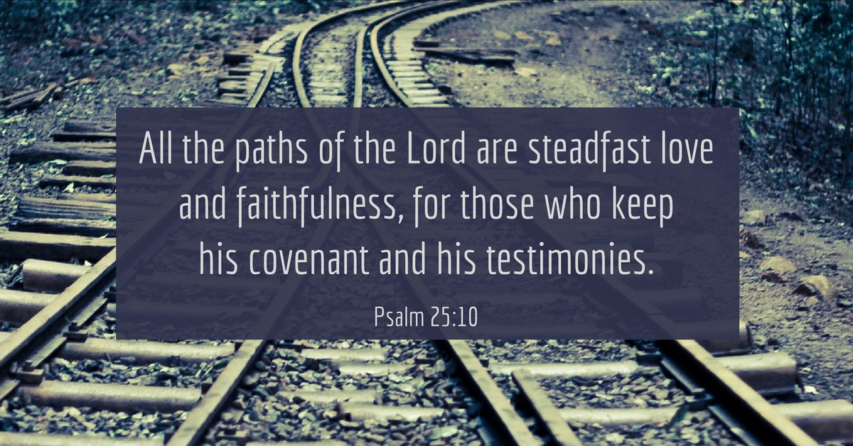 All the paths of the Lord are steadfast love and faithfulness, for those who keep his covenant and his testimonies.