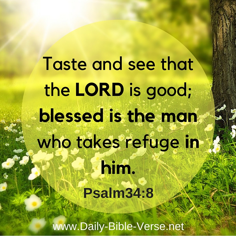 Daily Bible Verse | Daily Devotions | Daily Devotions23
