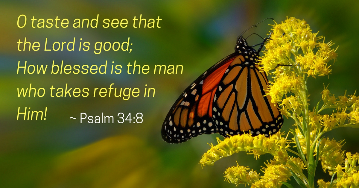 csb bible translation psalm 34 verse 8