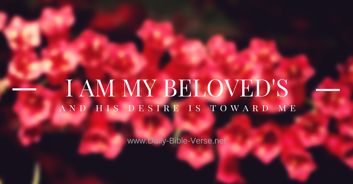 Daily Bible Verse | Sex | Song Of Solomon 8:7 Continued