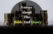 Daily Bible Verse | The Bible and Money | Ruth 2:12 (NASB)