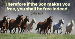 Therefore if the Son makes you free, you shall be free indeed.