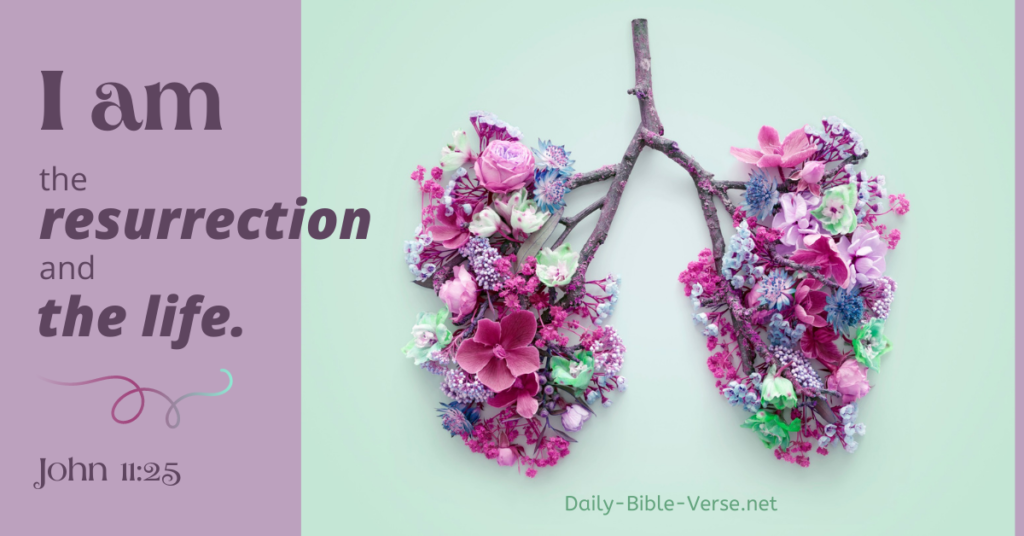 I am the resurrection and the life.