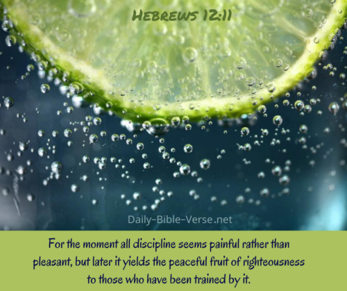Now no chastening seems to be joyful for the present, but painful; nevertheless, afterward it yields the peaceable fruit of righteousness to those who have been trained by it.