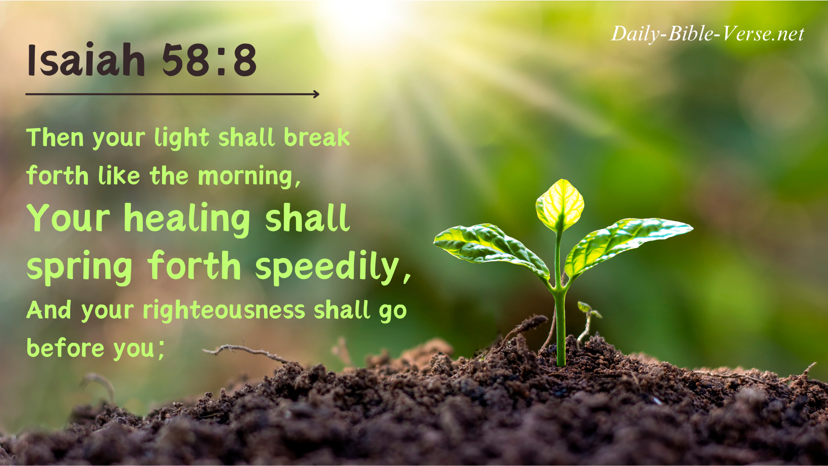 Then your light shall break forth like the morning, Your healing shall spring forth speedily, And your righteousness shall go before you;